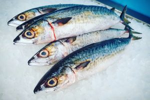 img_20160809_120947 img_20160809_120947