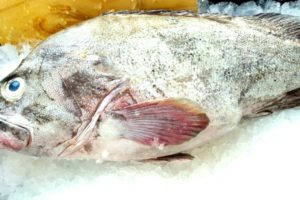 803729289_75374 803729289_75374