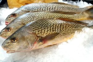 img_20161012_220541 img_20161012_220541