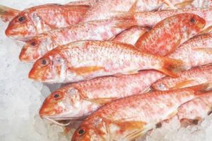 15037065_1824889114458709_7882895961853579023_n